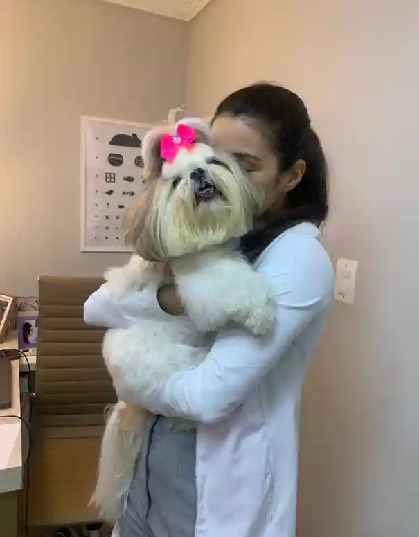 Momento de cuidado durante a consulta veterinária