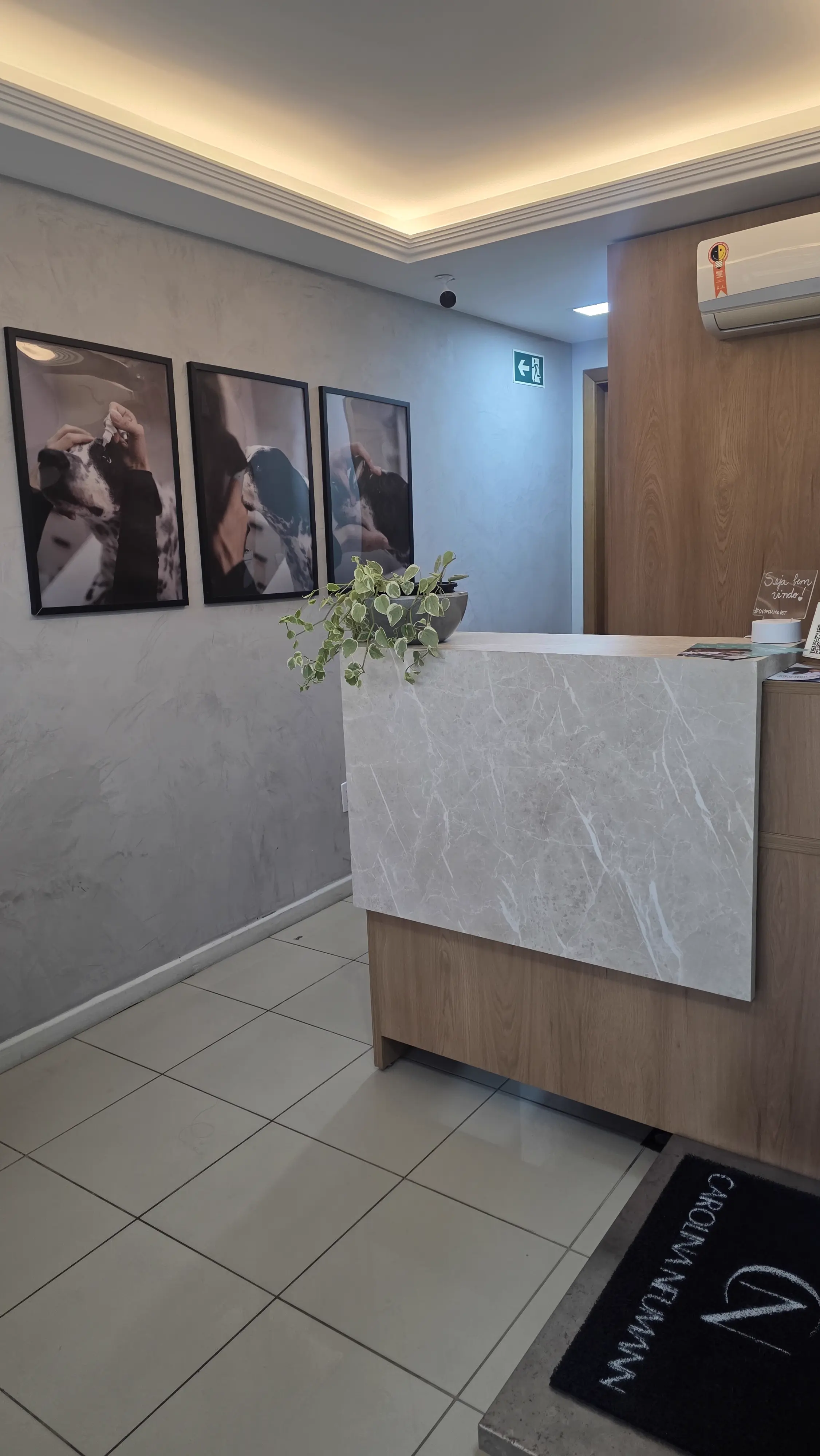 Consultório com equipamentos para oftalmologia veterinária