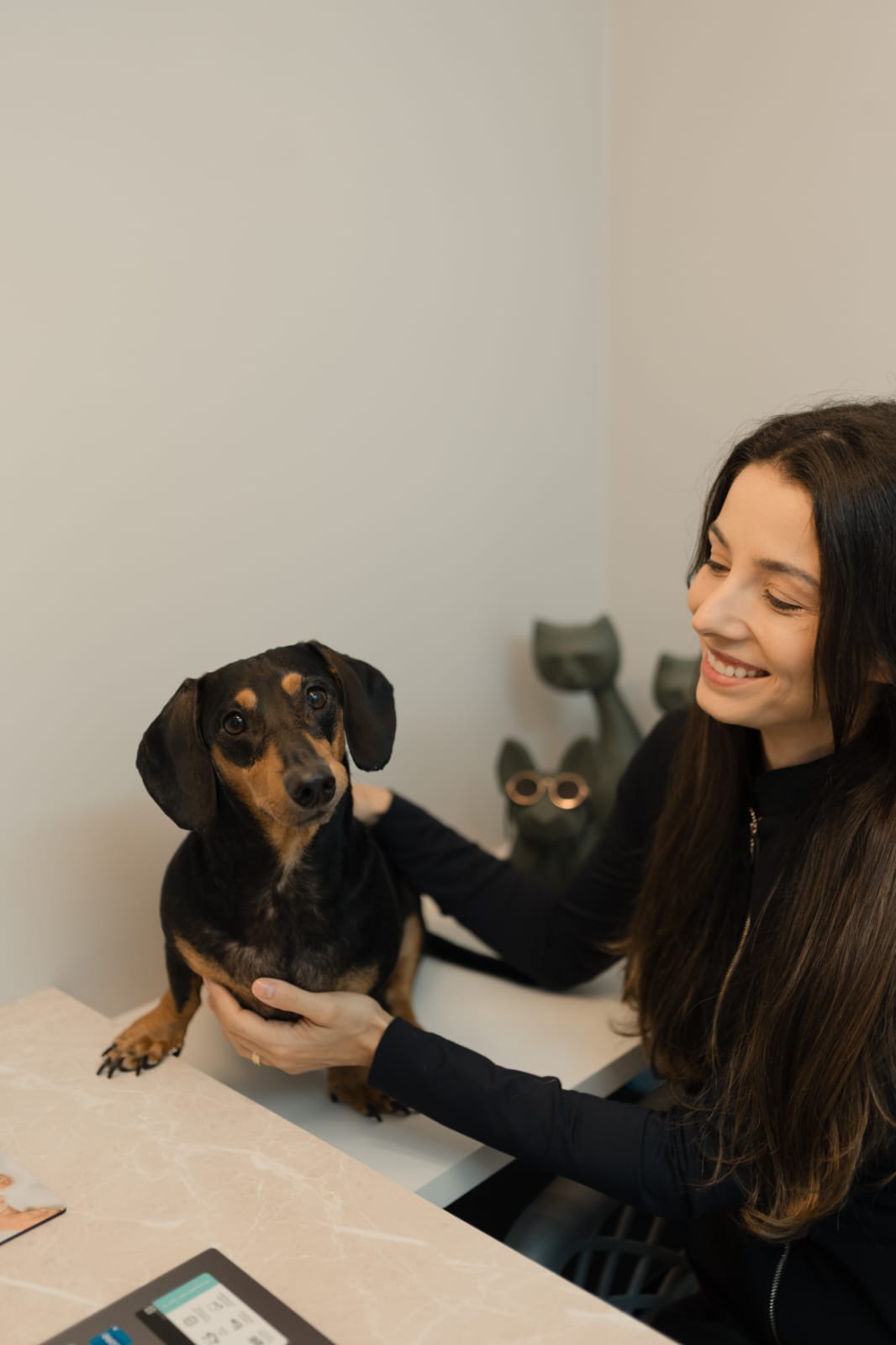 Dra. Carolina Neumann examinando os olhos de um pet